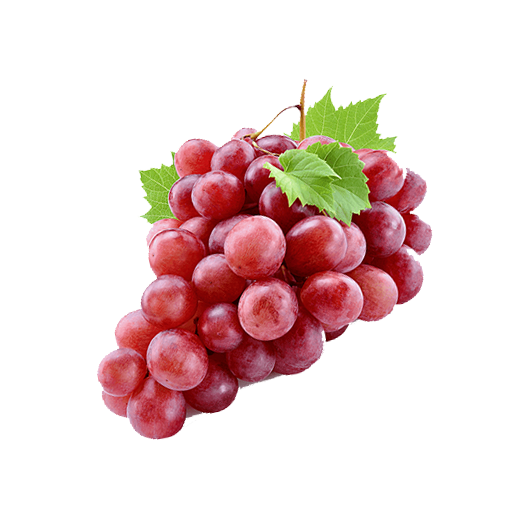 Fruits